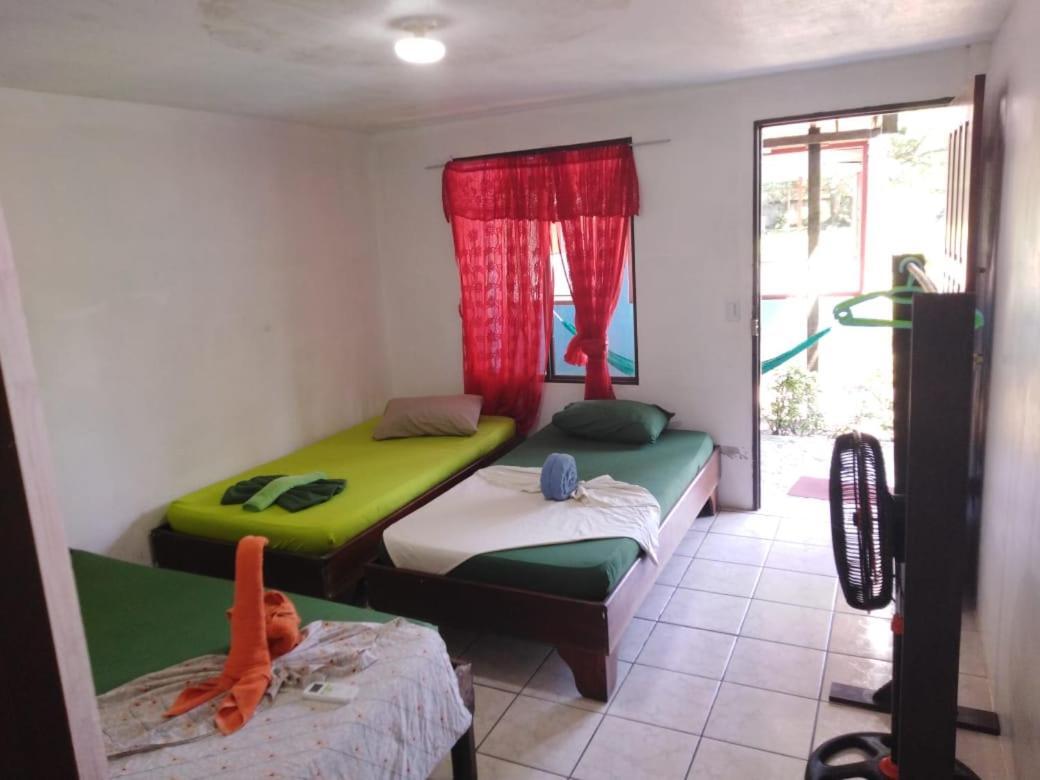 Cabinas Miss Miriam 2 Tortuguero Luaran gambar