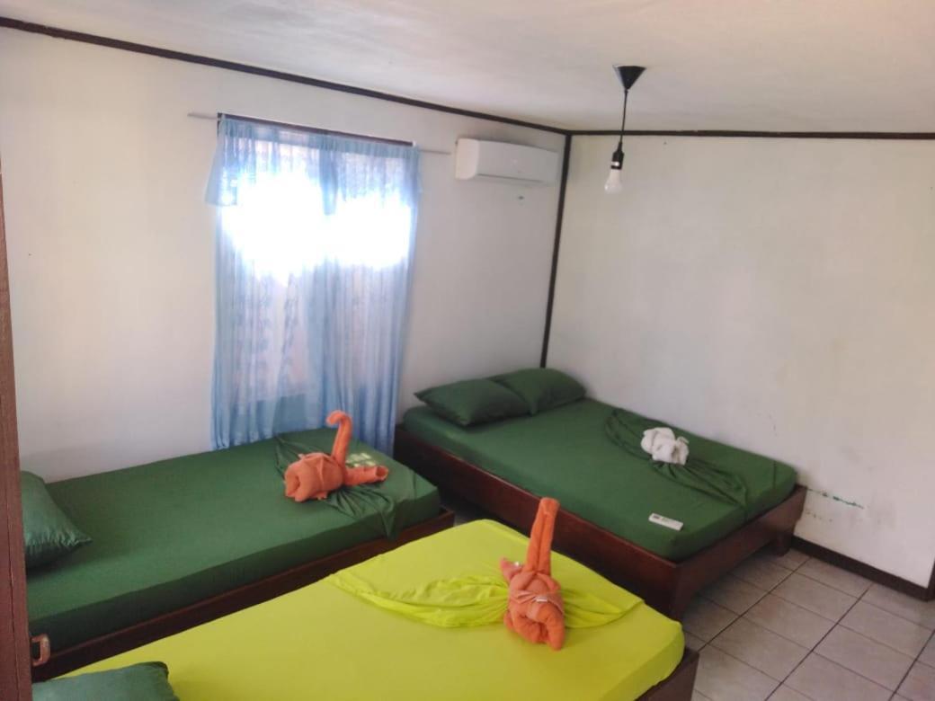 Cabinas Miss Miriam 2 Tortuguero Luaran gambar